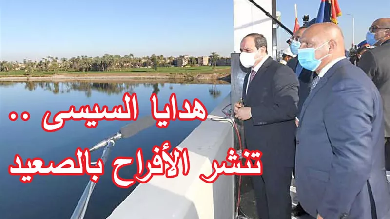 خبراء الأقتصاد: نقلة نوعية.. للمشروعات التنموية في الصعيد