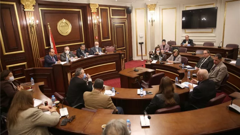رئيس صحة الشيوخ: يجب منح المجلس القومي للسكان شخصية اعتبارية مستقلة بعيداً عن وزارة الصحة