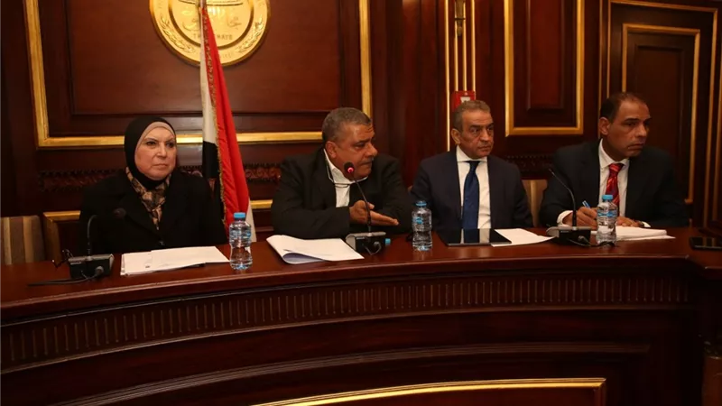 وزيرة التجارة تستعرض ضوابط استخراج التراخيص للسلع الاستراتيجية
