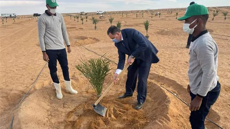 «مدبولي» وعدد من الوزراء يزرعون أشجار النخيل الفاخر في توشكى ... صور
