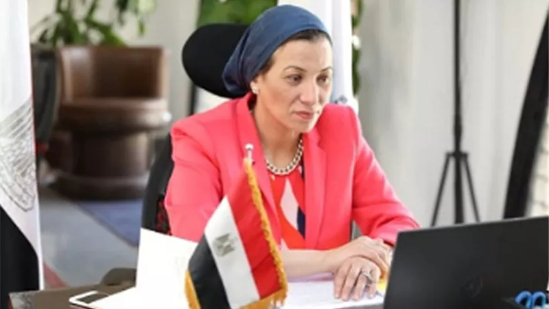 ياسمين فؤاد: لأول مرة يتم التعاون من أجل وضع معايير بيئية لاستخراج الذهب فى ملف التعدين
