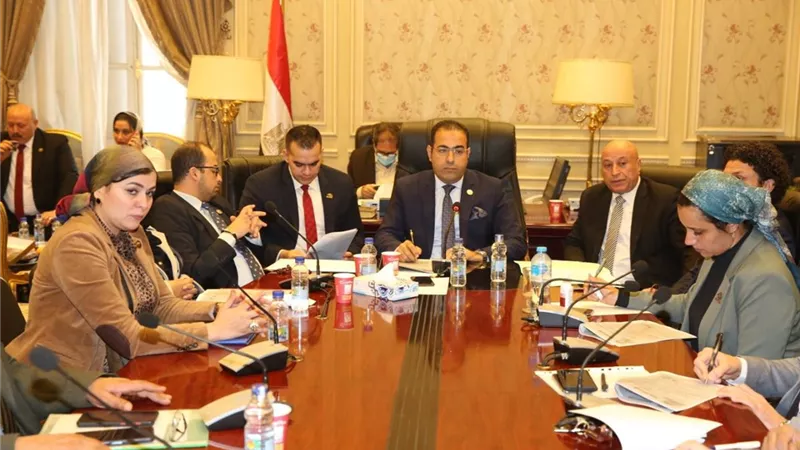 شباب النواب ترجئ مناقشة تأثير انتشار الملاعب الخماسية علي الرياضة