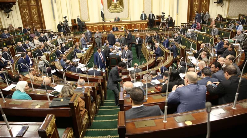 طاقة النواب توصي بحل ازمة كابل كهرباء بمياه ترعة بالشرقية
