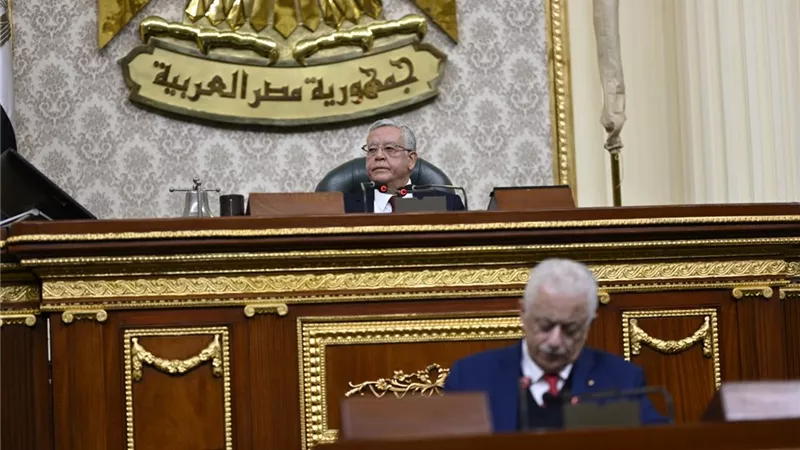 طارق شوقي: 
