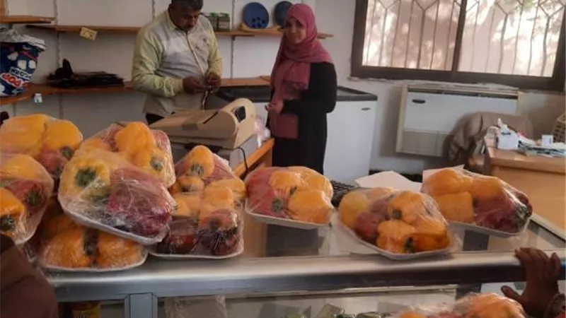 طرح منتجات كليتى الزراعة والطب البيطرى بأسعار مخفضة بمنفذ جامعة بنها.. بالصور