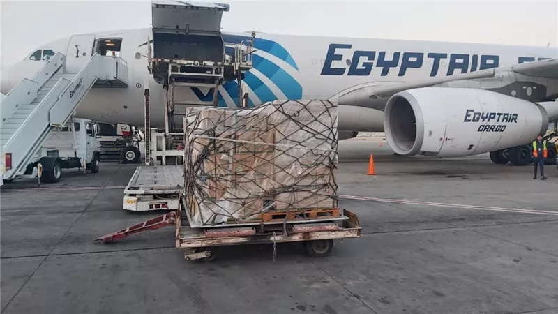 بالتنسيق مع مؤسسة حياة كريمة ... مصر للطيران تنقل 50 طنا من المواد الغذائية لأهالى أسوان