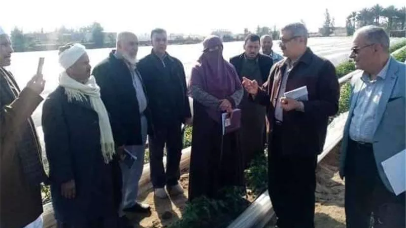 زراعة الشرقية تنفذ مدرسة حقلية إرشادية عن زراعة محصول الطماطم لمزارعي الصالحية
