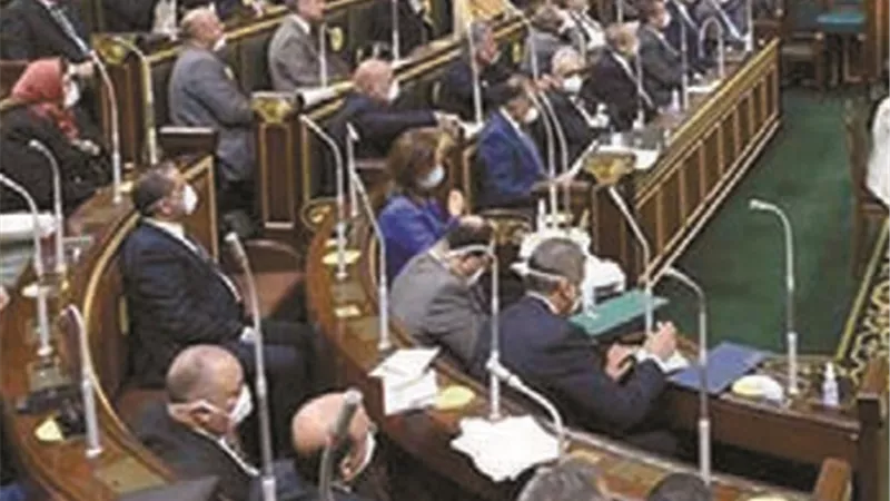 اخويا هايص وانا لايص.. لسان حال اعضاء مجلسي النواب والشيوخ