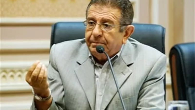 رئيس لجنة الشؤون العربية: مصر كانت على المحك في 2011 وثورة 30 يونيو أعادت للوطن توازنه