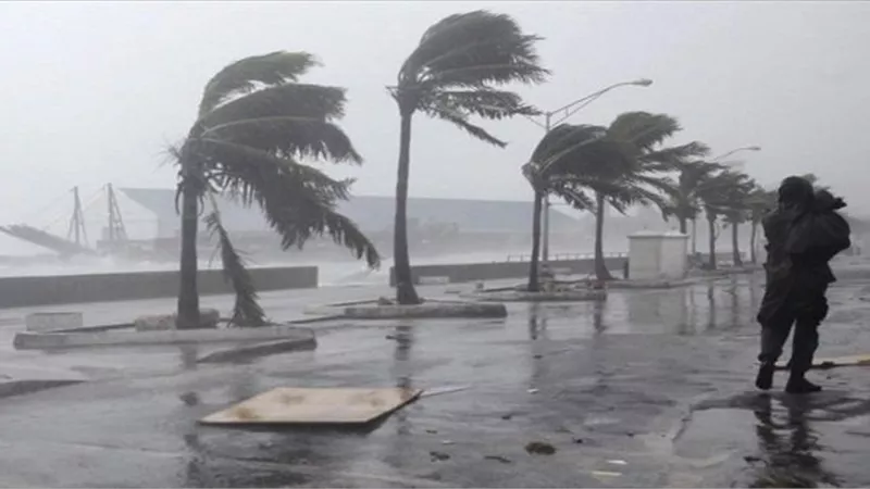 التنمية المحلية: نواصل العمل 24 ساعة للتعامل مع موجة الطقس السيء