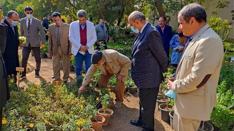 رئيس جامعة المنيا يفتتح معرض 