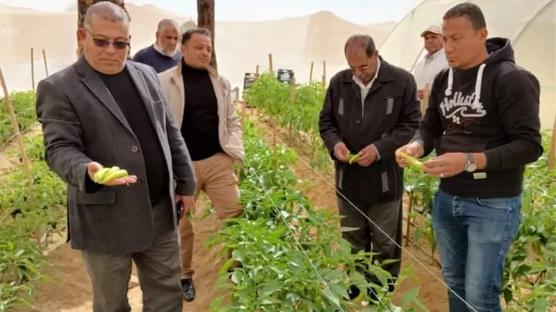 مدير زراعة الوادى الجديد يتفقد حقول القمح والنخيل بالداخلة ..صور