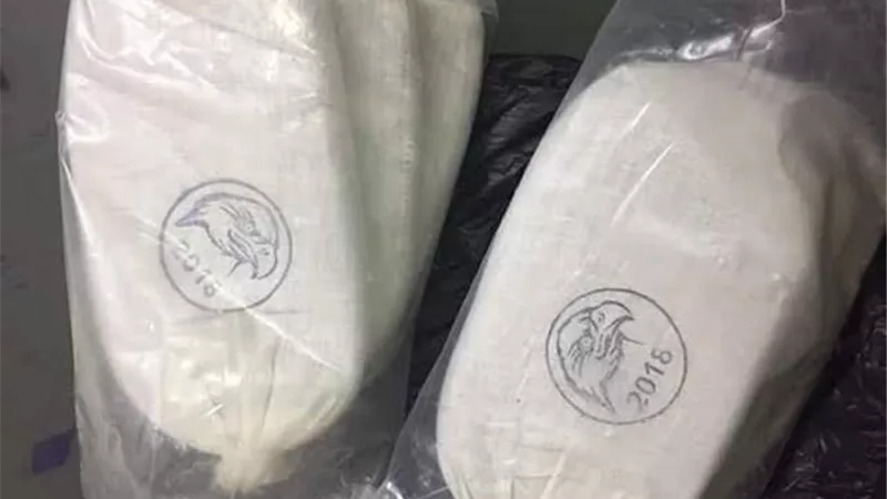 أمن البحر الأحمر يضبط سيدة بحوزتها حشيش قبل ترويجة بالغردقة