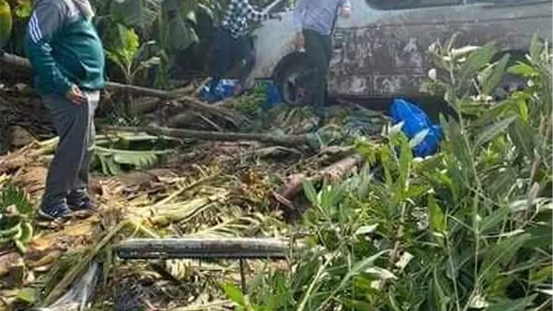 مصرع وإصابة 6 فى حادث انقلاب سيارة بالمنوفية