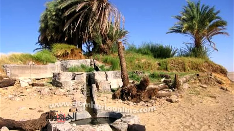 عجائب 