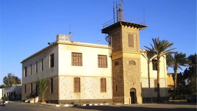 حصاد 