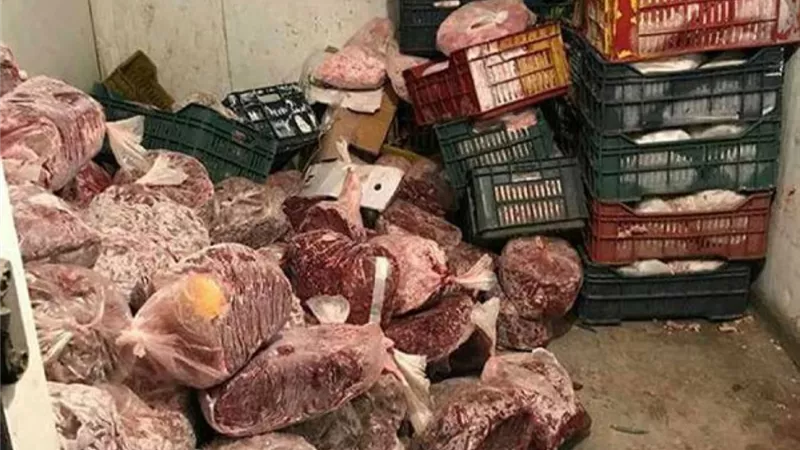 أبرزها لحوم فاسدة.. التموين: ضبط 1353 قضايا متنوعة خلال 24 ساعة