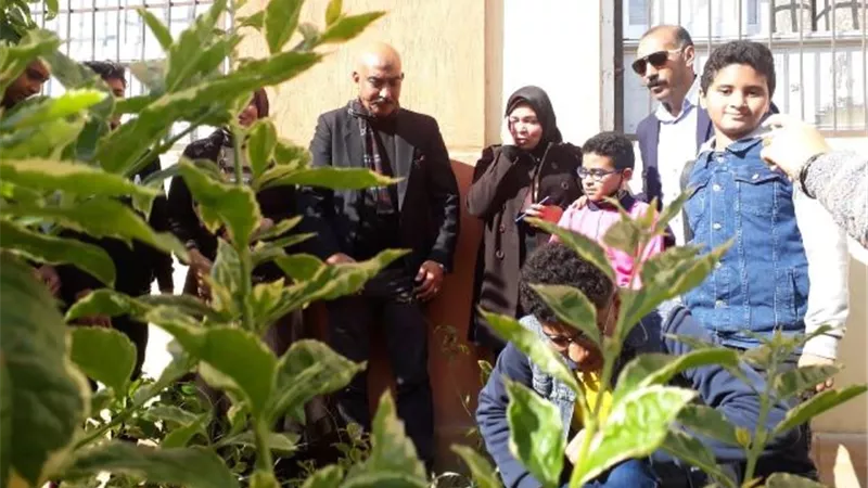 تفعيل مبادرة شجرة تساوي حياة بحى العجمي في الأسكندرية