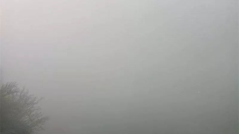 بالصور .. الشبورة الكثيفة على الفيوم و أسيوط وسوهاج