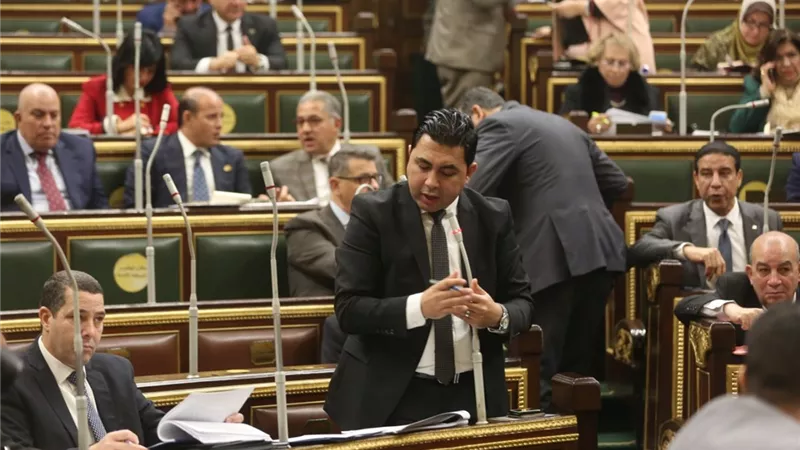 برلماني يطالب بمشروع قانون كامل لانتاج القطن طويل التيلة