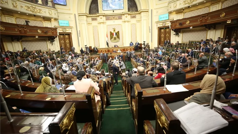 أيمن أبو العلا يقترح تبني مشروع قومي للنهوض بالقطن المصري