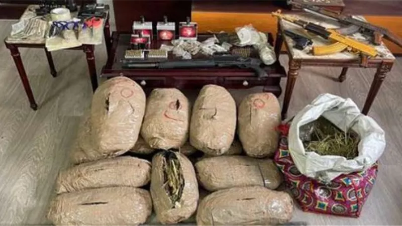 ضبط 4250 كيلو جرام بانجو فى حملة مكبرة لإستهداف الزراعات المخدرة بالإسماعيلية