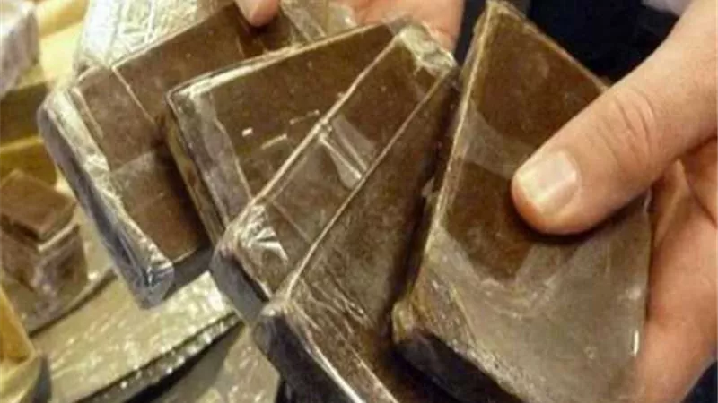 بـ2 مليون جنية.. ضبط 3 عناصر إجرامية بحوزتهم 200 طربة حشيش بالإسكندرية