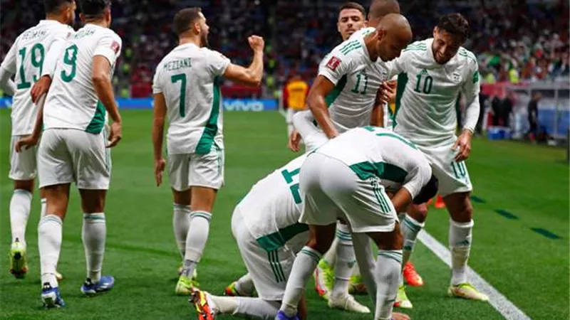 الإتحاد الجزائرى يؤجل سفر المنتخب الى الكاميرون .. تعرف على السبب