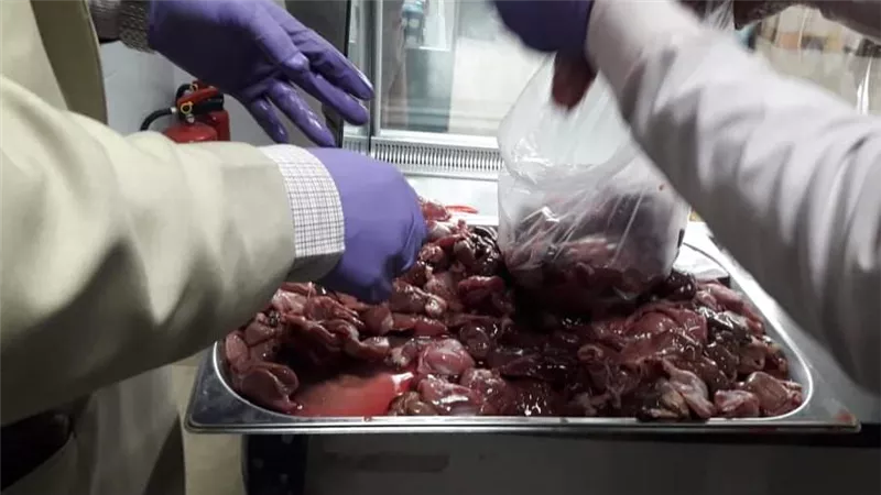 ضبط ٦٣ كيلو لحوم بلدية ومصنعة غير صالحة للإستهلاك الآدمى فى حملة للطب البيطرى بالأقصر