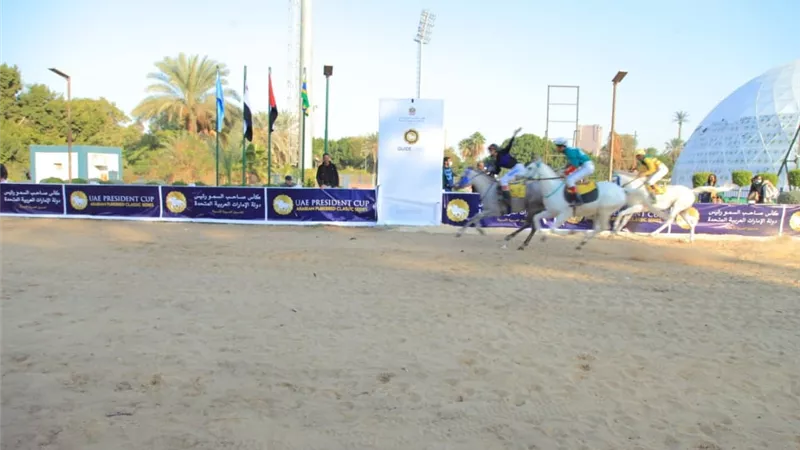 انطلاق مهرجان الخيول بالجزيرة .. غدا