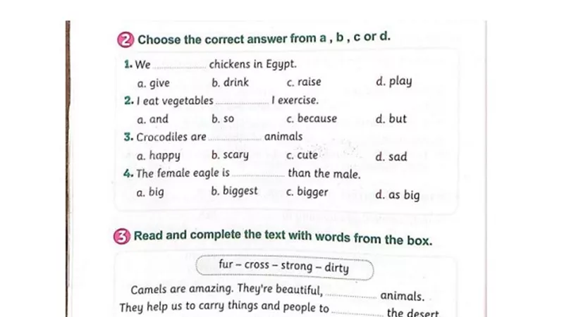 تدريبات متنوعة فى اللغة الانجليزية رابعة ابتدائي