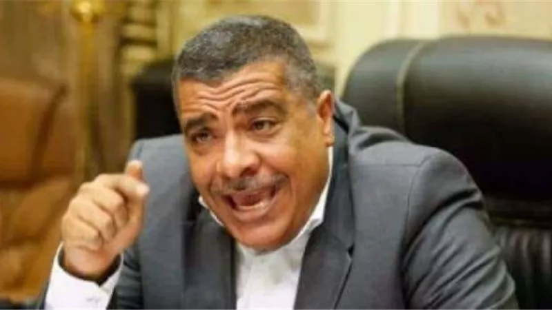 رئيس صناعة النواب: انطلاق تحضيرات منتدى شباب العالم يكشف إيمان الدولة بالشباب والرهان عليهم