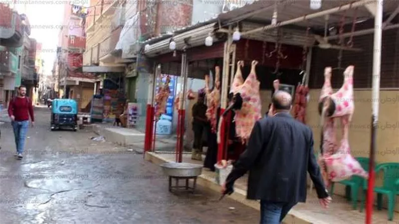 بيطرى المنيا : تحرير 51 محضر للحوم ودواجن غير صالحة للاستهلاك الادمى