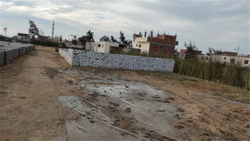 إزالة فورية لحالات تعد على الأراضي الزراعية بالإسماعيلية ..صور