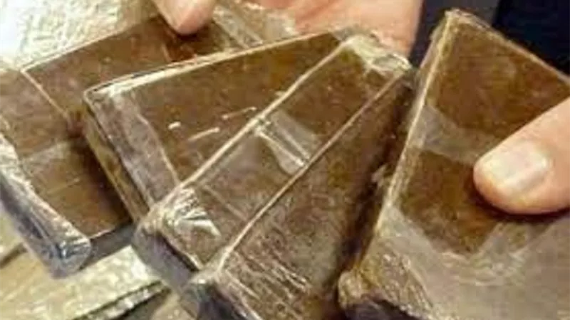 ب 5 ملايين جنيه .. ضبط 4 عناصر إجرامية بحوزتهم 500 طربة حشيش بالإسكندرية
