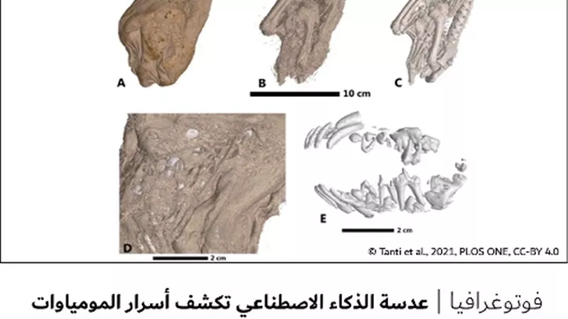 عدسة الذكاء الاصطناعي تكشف أسرار المومياوات