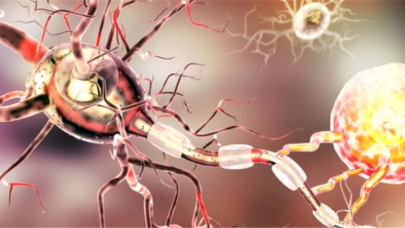 دراسة تحدد الأسباب الدقيقة لأمراض المناعة الذاتية