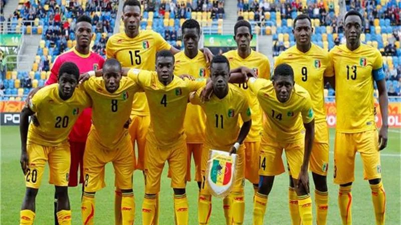 أمم إفريقيا.. بقائمة مدججة بالنجوم نسور مالى تسعى للمنافسة على اللقب