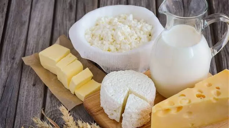 أسعار الألبان اليوم الأربعاء 12-1-2022
