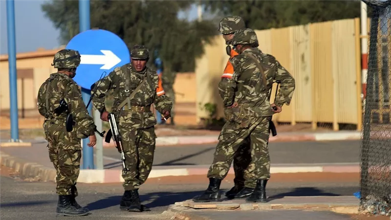الجيش الجزائري يصادر أكثر من 2.4 طن من المخدرات