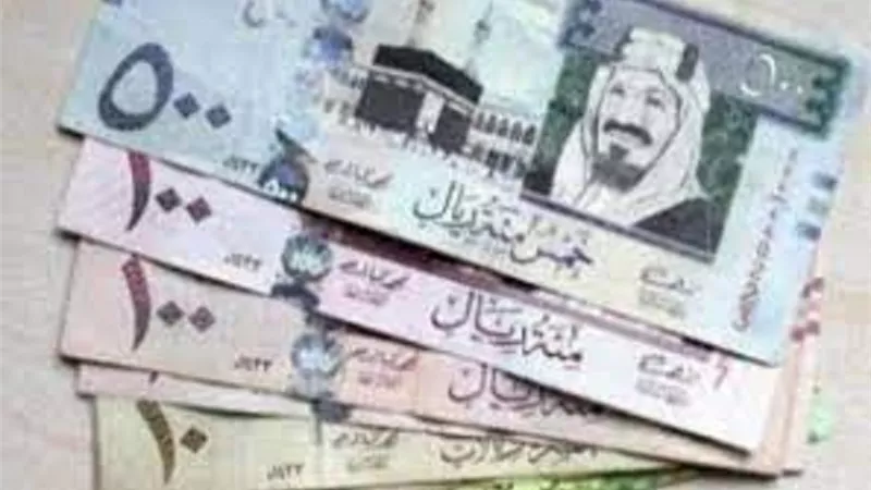 سعر الريال السعودى اليوم الجمعة 14 يناير 2022