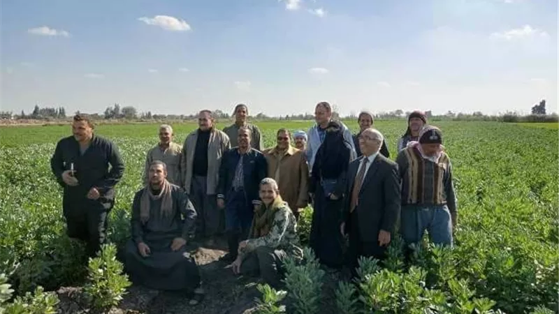 زراعة الشرقية تُنفذ مدرسة حقلية عن محصول الفول البلدي بأبوكبير..صور