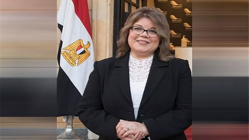 وكيل مجلس الشيوخ: مصر تحولت من لاعب إقليمي مؤثر إلى شريك استراتيجي عالمي