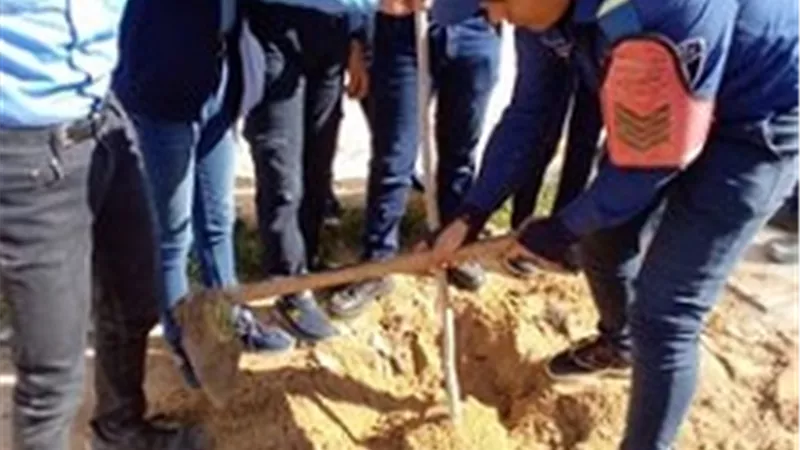 توعية الطلاب بأهمية مبادرة (شجرة تساوى حياة )