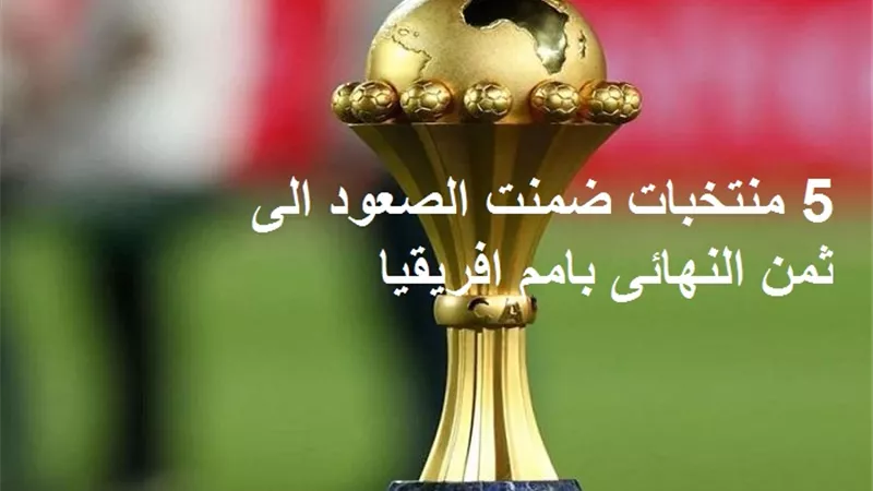 5 منتخبات ضمنت الصعود الى ثمن النهائى بامم افريقيا.. فيديو