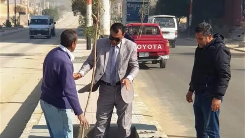 زراعة 70 شجرة بشوارع ساقلتة وحي الكوثر بسوهاج ..صور