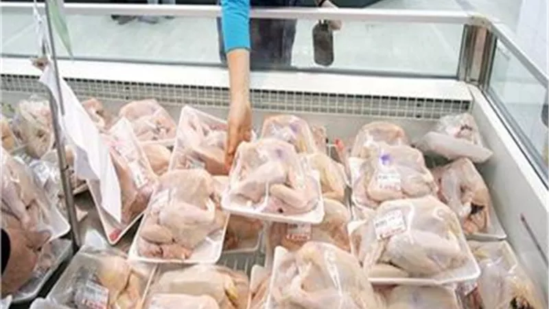مليار و٦٠٠ مليون طائر سنوياً حجم إنتاج مصر سنوياً.. فيديو