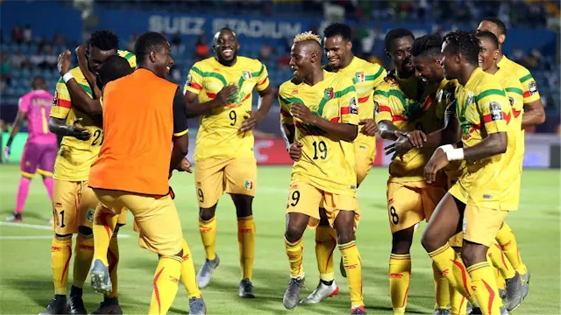 أمم إفريقيا.. مالي وغامبيا يتصدران مجموعة تونس