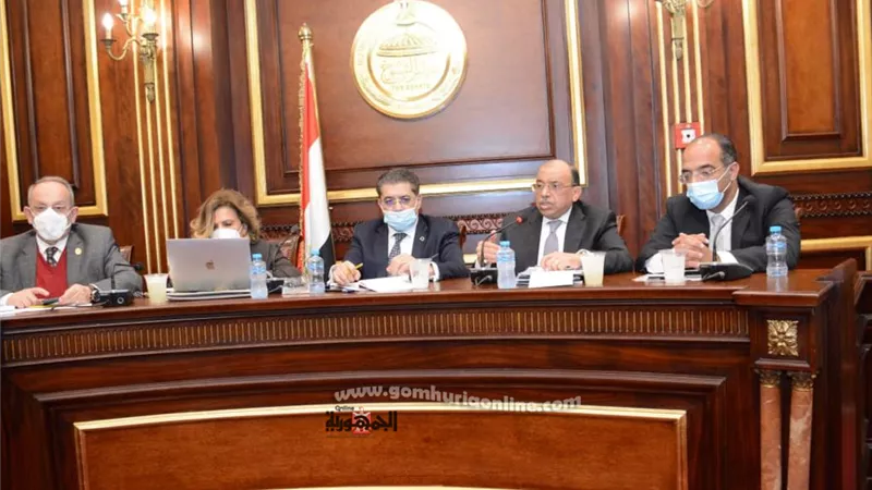 شعراوى : أهمية تغيير ثقافة المواطنين ودور الإعلام والمجالس النيابة والتشريعية للحد من الزيادة السكانية
