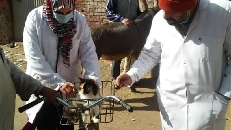 جامعة الزقازيق توجه قافلة بيطرية لقرية غزالة الخيس صور